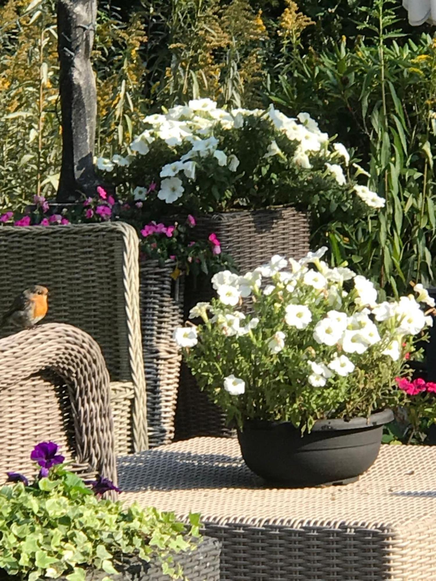 Villa 'T Haasduin Wijk aan Zee Εξωτερικό φωτογραφία