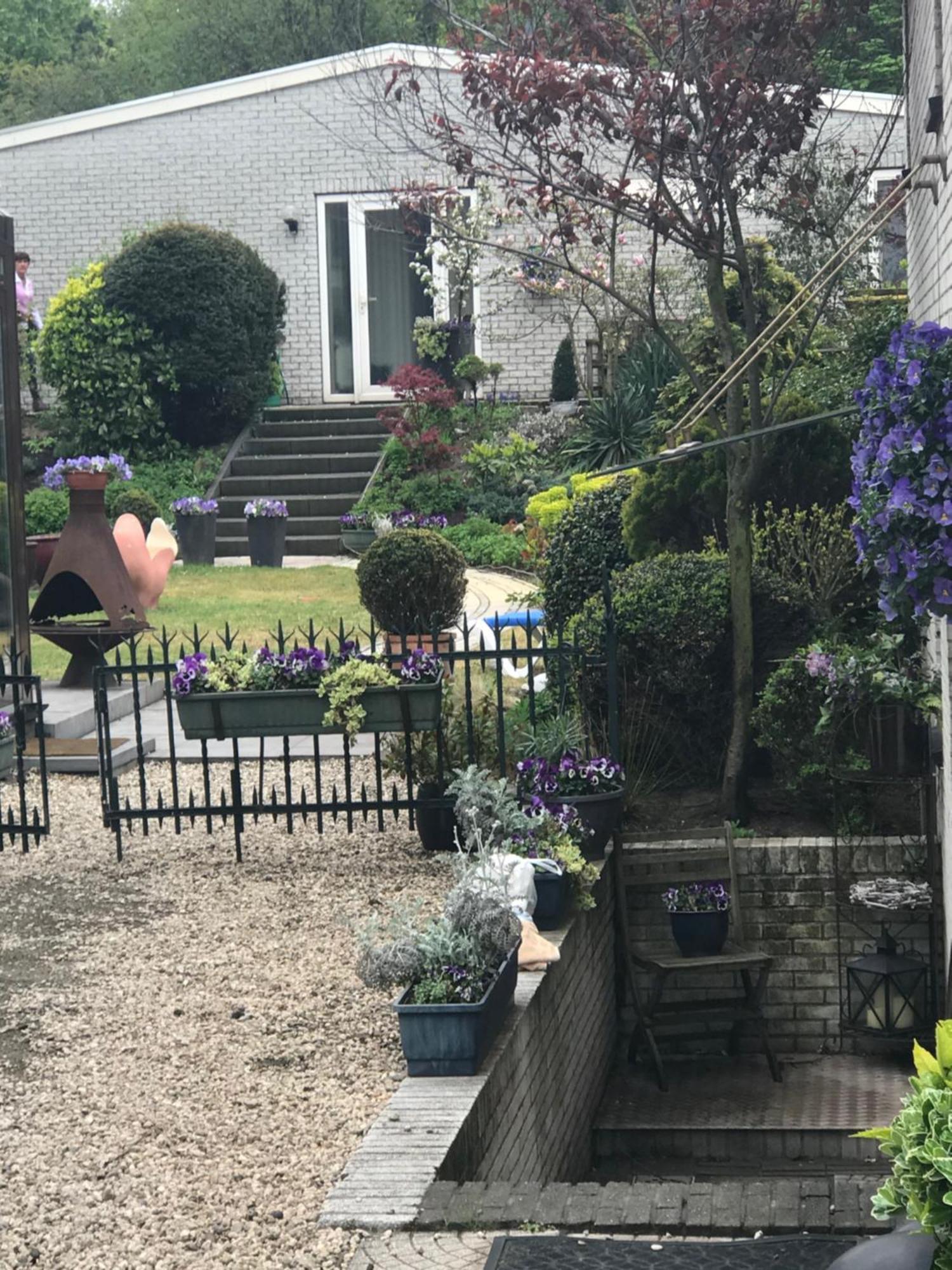 Villa 'T Haasduin Wijk aan Zee Εξωτερικό φωτογραφία
