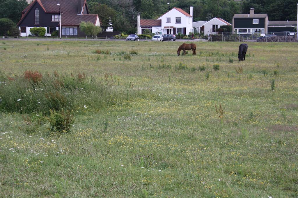 Villa 'T Haasduin Wijk aan Zee Εξωτερικό φωτογραφία
