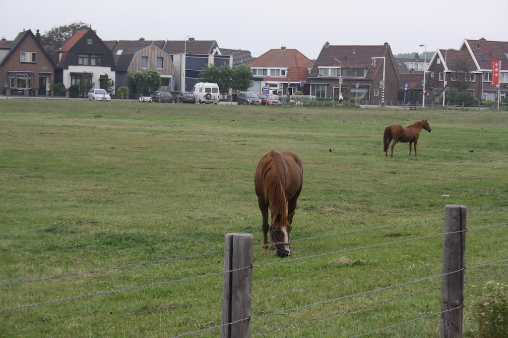 Villa 'T Haasduin Wijk aan Zee Εξωτερικό φωτογραφία
